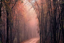 乌拉圭2022世界杯阵容,老炮压阵+新星崛起,能否续写荣光?