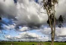 曼城对阵弗鲁米嫩，这场世俱杯决赛会有哪些看点？